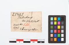 Etikett zu Bronzetierfigur (NHMW-PRAE-025487)